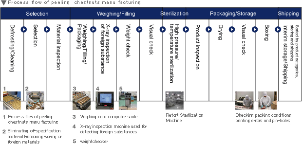 Process flow of peeling  chestnuts manu facturing